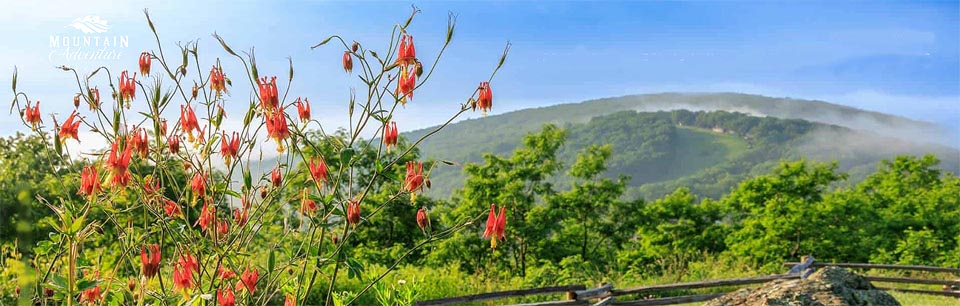 Mountain Adventure Realty Bakersville, NC