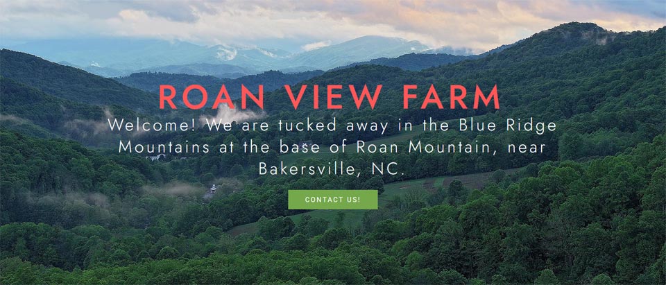 Roan View Farm view of Roan Mountain